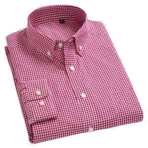 Official Check Shirt